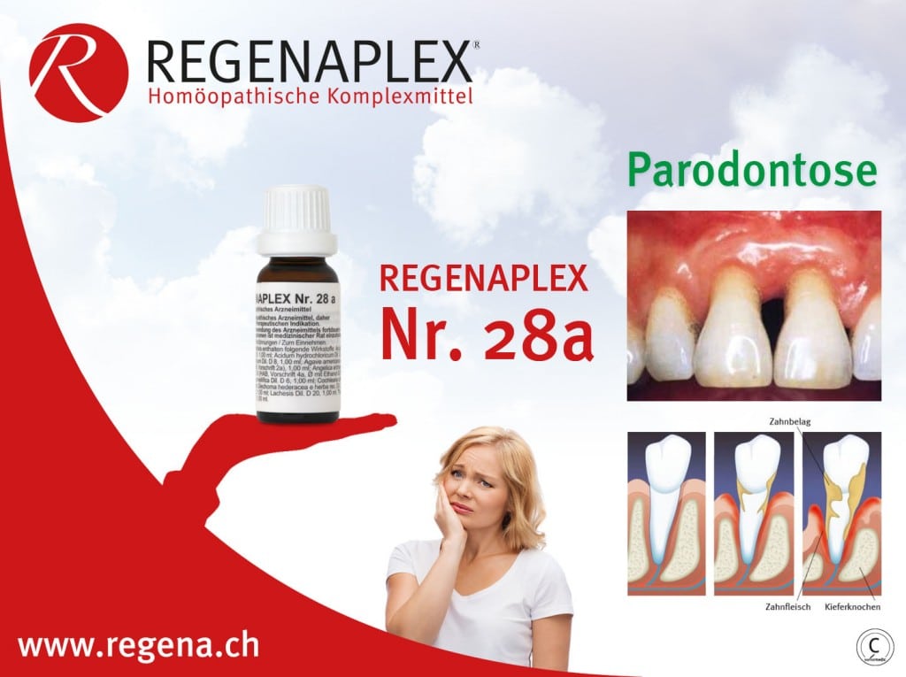 REGENAPLEX Nr 28a - Parodontose